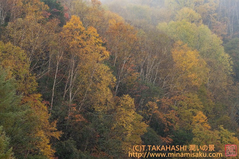 ../Images/7R251026 (228).jpg